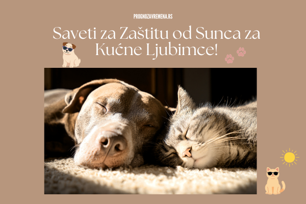 kako zaštititi kućne ljubimce od sunca