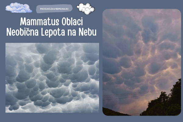 Mammatus oblaci