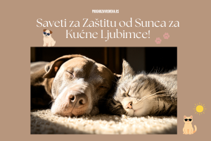 kako zaštititi kućne ljubimce od sunca
